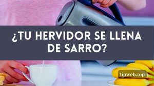 ¿Quieres saber porque tu hervidor se llena de sarro?
